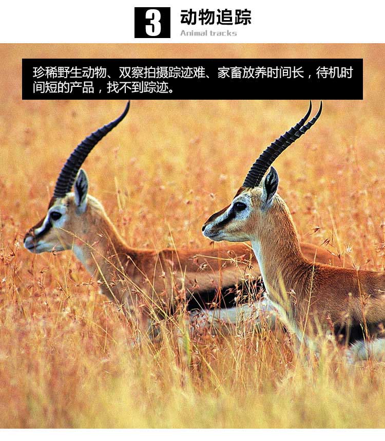 GT01多功能麦克风断油电SOS按钮2G gps接线定位器